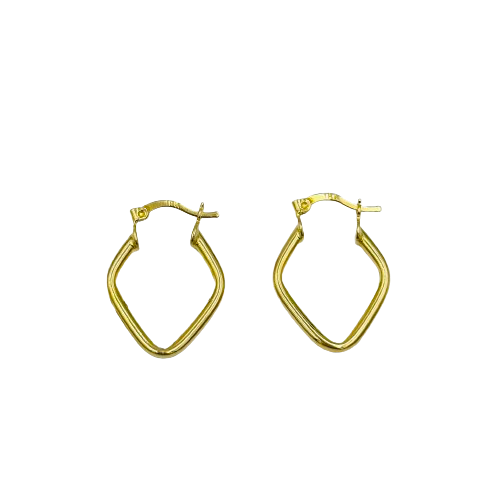 Earrings (18 Karat)